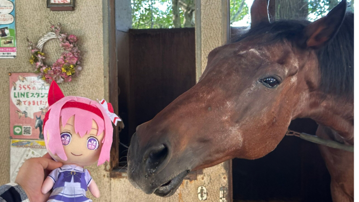 RIP Haru Urara: What Killed the Japanese Horse