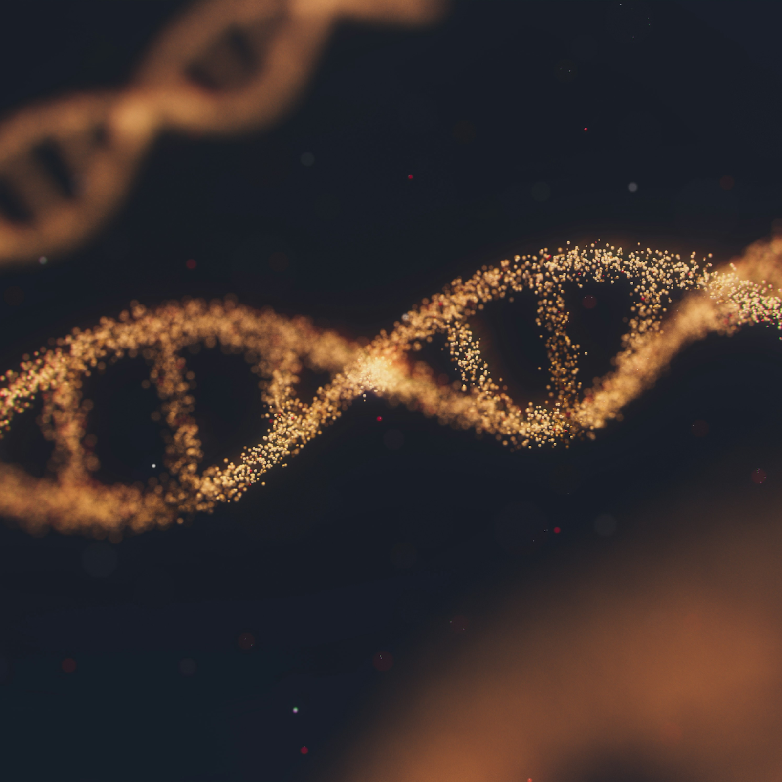 DNA