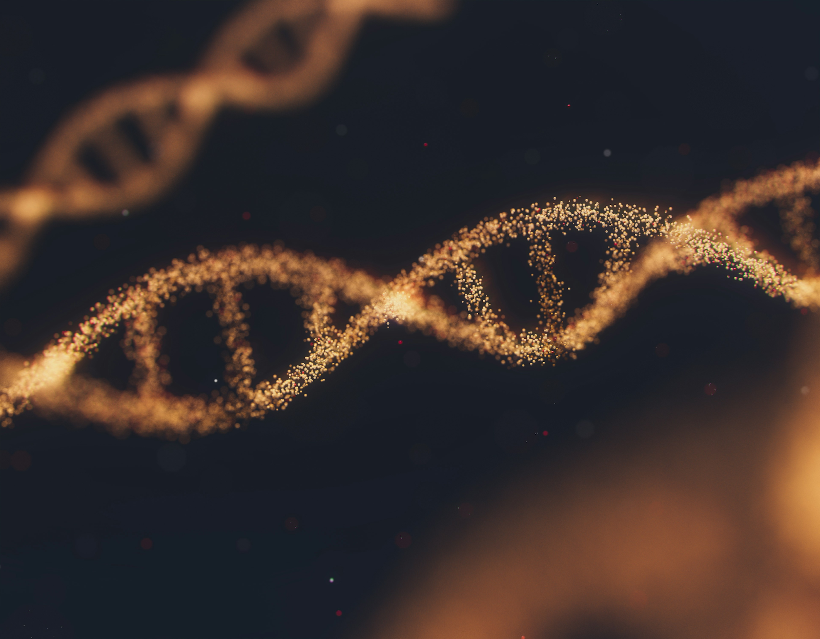 DNA