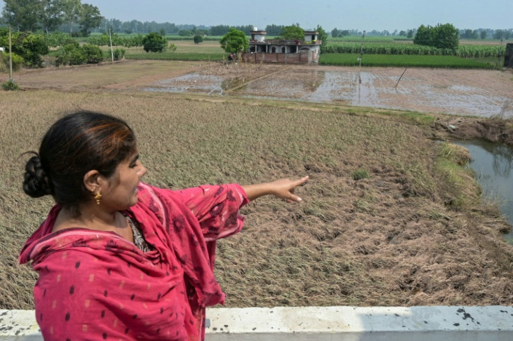 Punjab, India