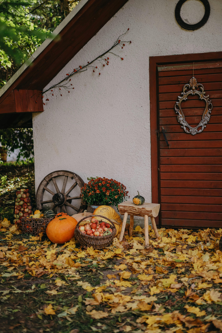 Halloween Decoration in Yard