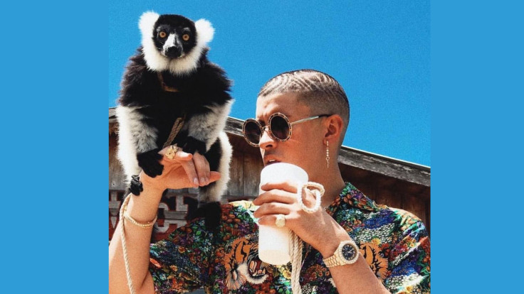 Bad Bunny