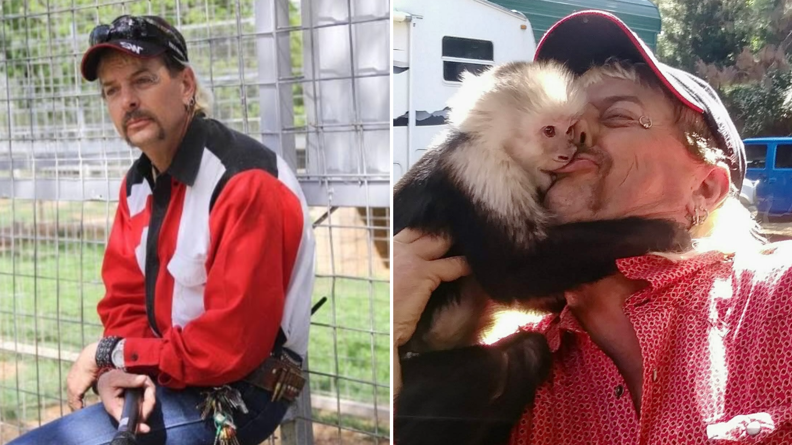 Tiger King Joe Exotic Tiger King Joe Exotic