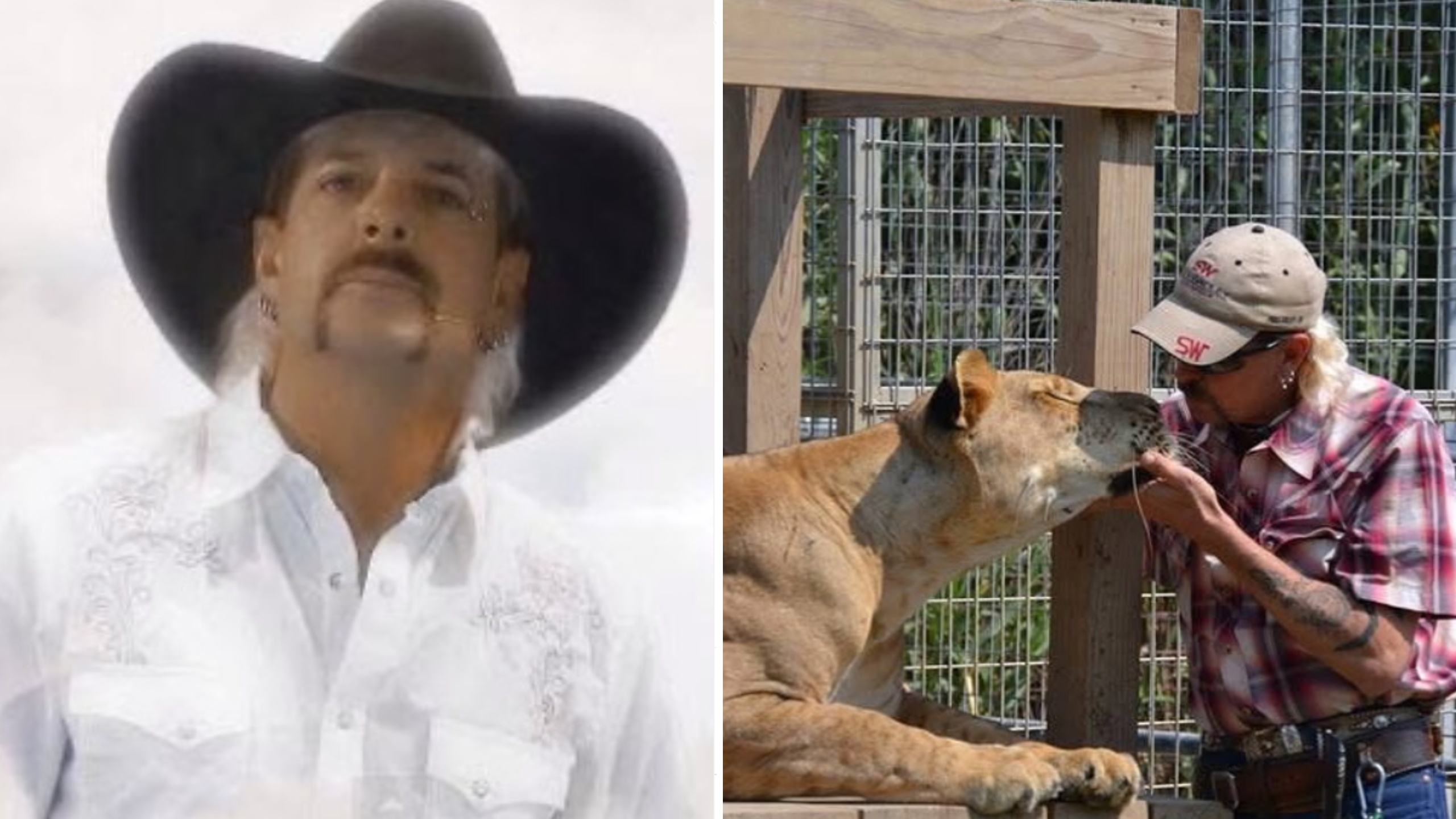 Tiger King Joe Exotic Tiger King Joe Exotic