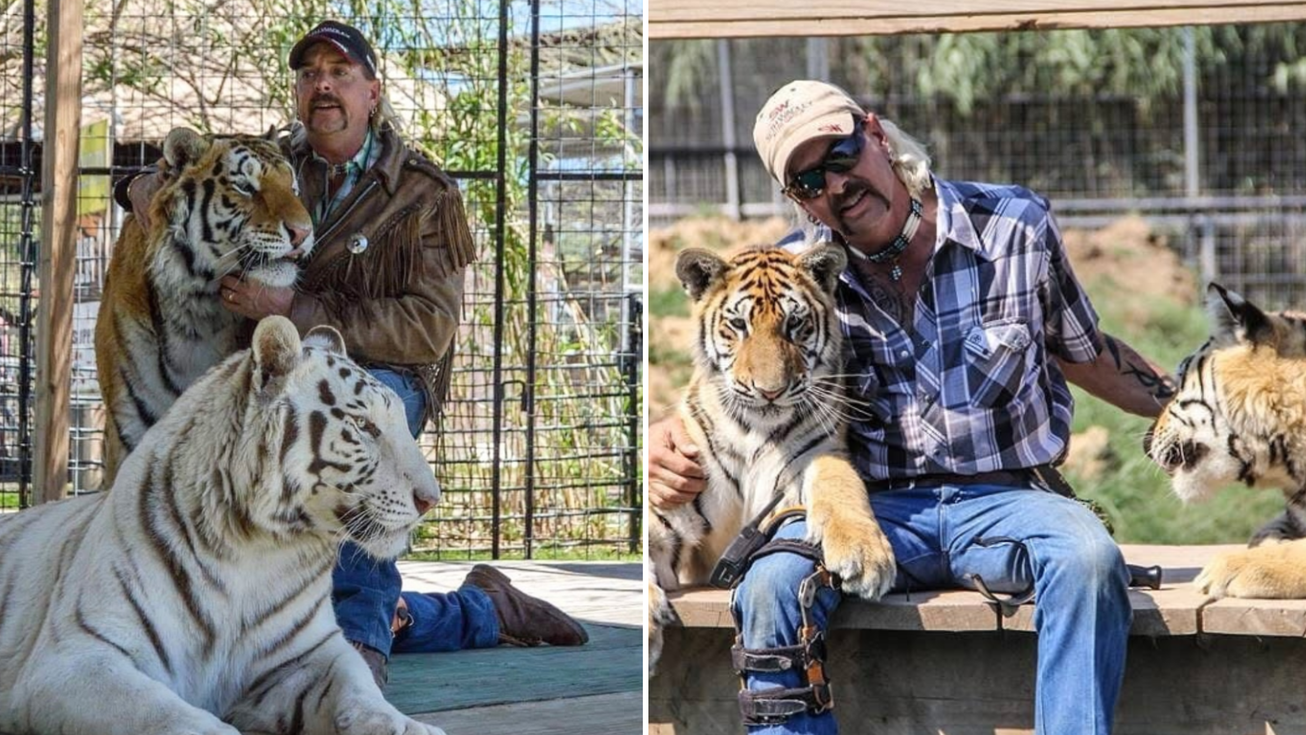 Tiger King Joe Exotic Tiger King Joe Exotic