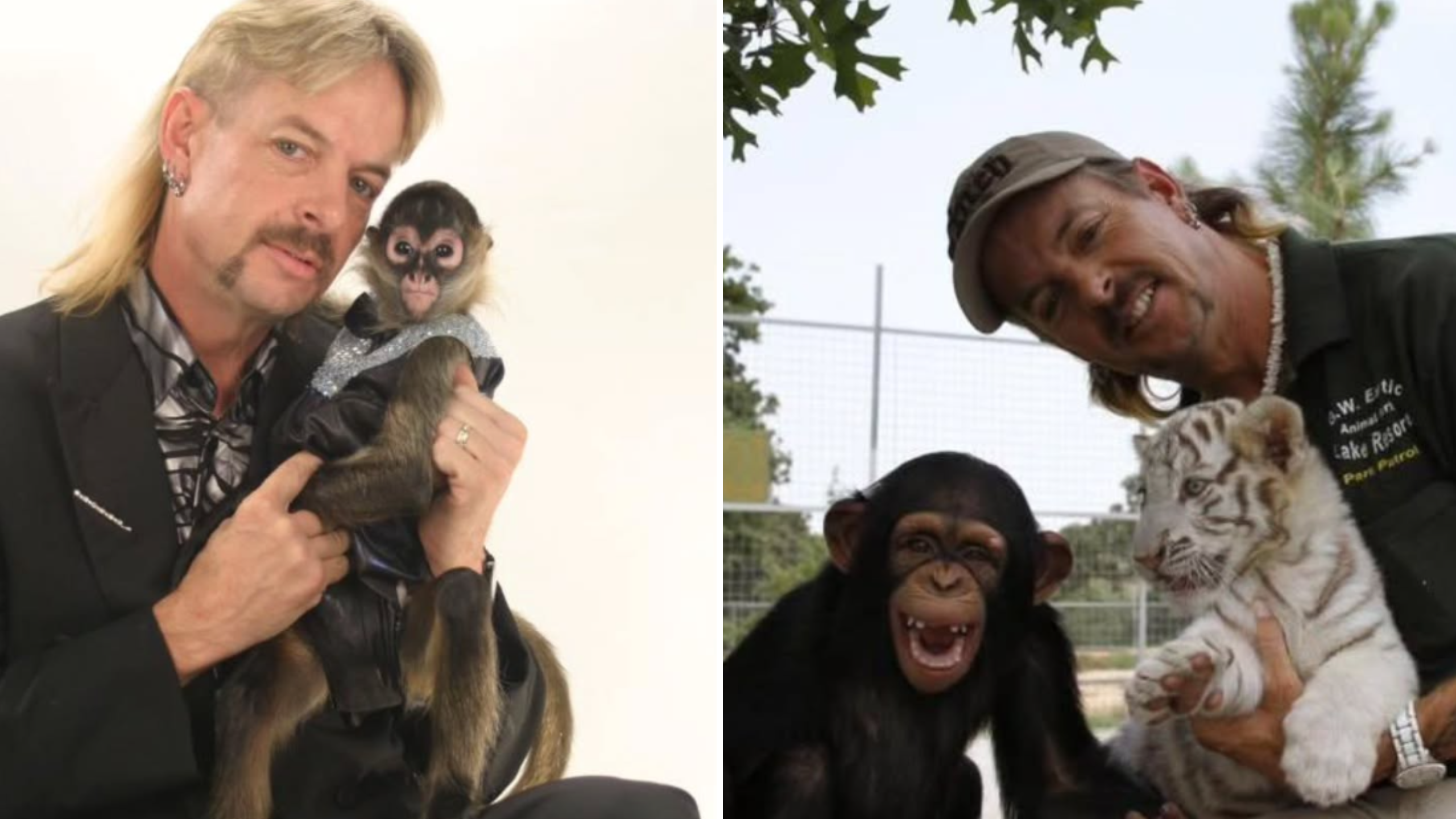 Tiger King Joe Exotic Tiger King Joe Exotic