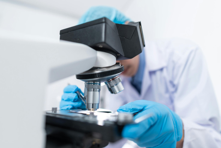 Doctor using microscope