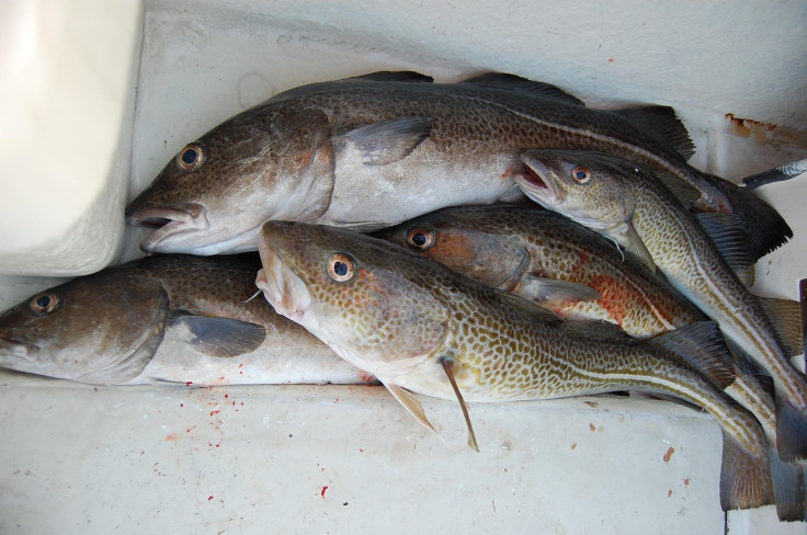 Cod