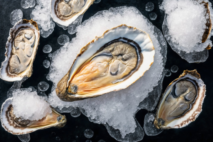 Oysters