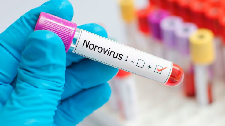 Norovirus