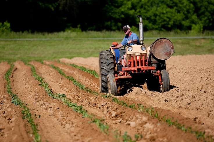 Farmers