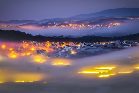 Night Fog