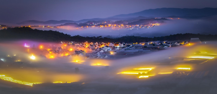 Night Fog