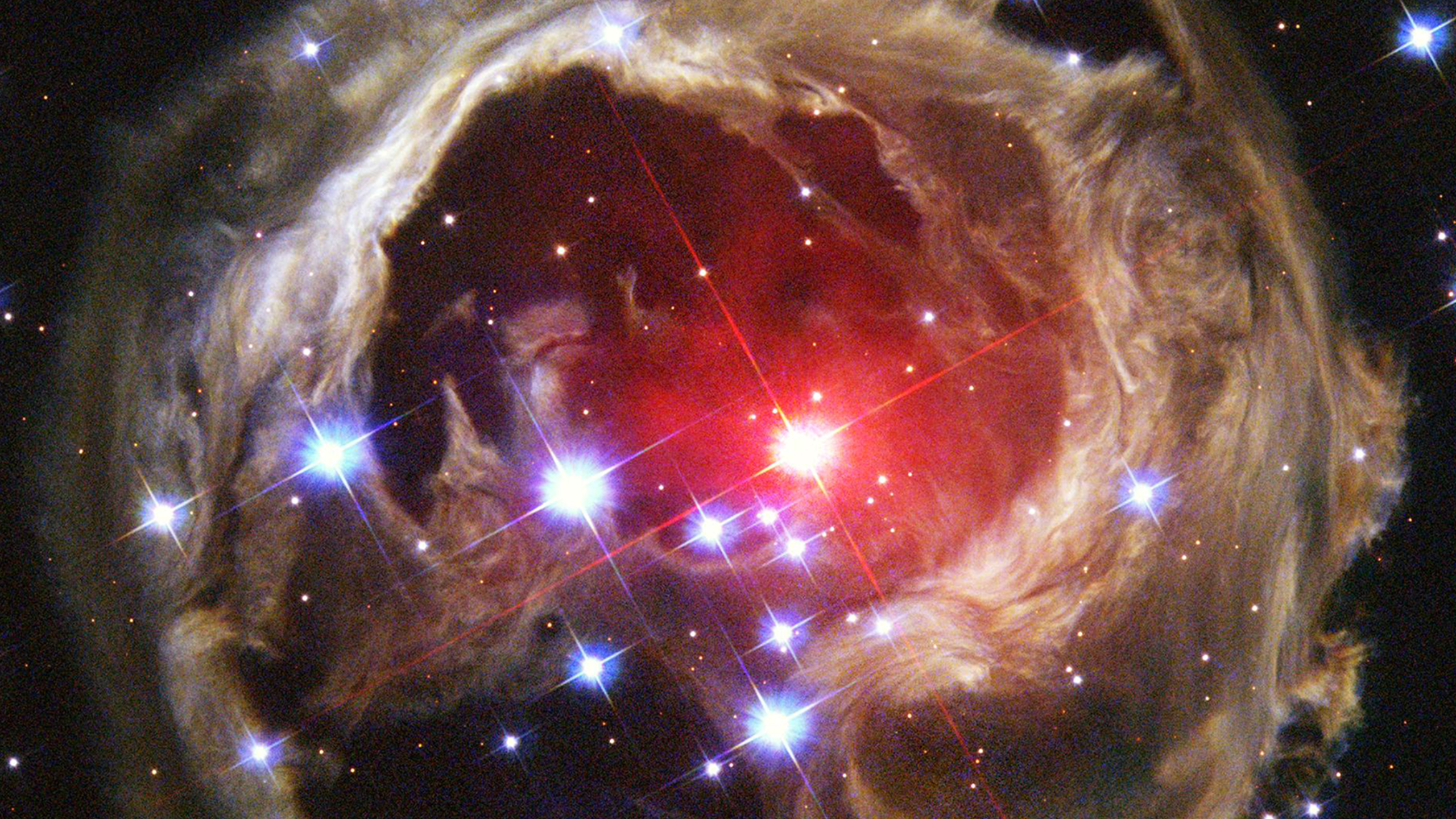 ibtimes.co.uk - Briane Nebria - 3I/ATLAS Anti-Tail Extension: Harvard Claims 60,000 Km Separation Was Predicted