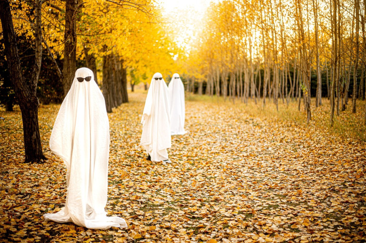 Trick or Treat