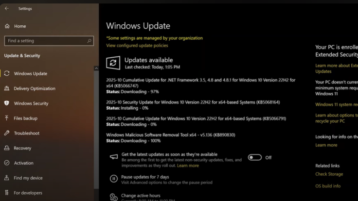 WINDOWS 10