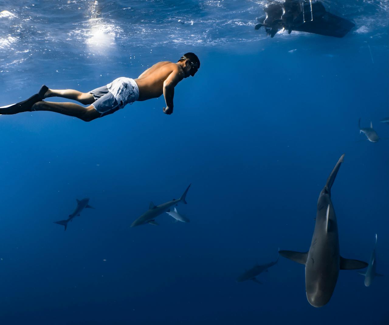 man with sharks