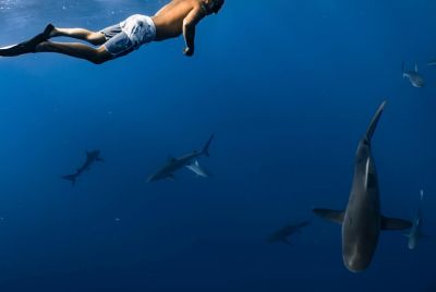 man with sharks