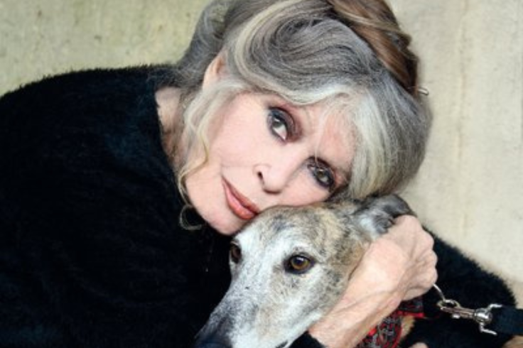 Brigitte Bardot