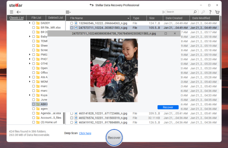 Stellar Data Recovery