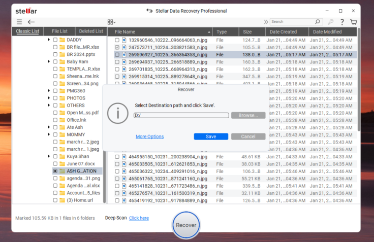Stellar Data Recovery
