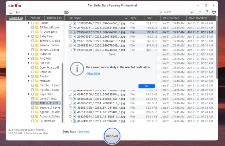 Stellar Data Recovery