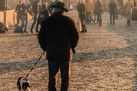 Dog-walker stabbed to death in London