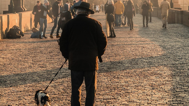 Dog-walker stabbed to death in London