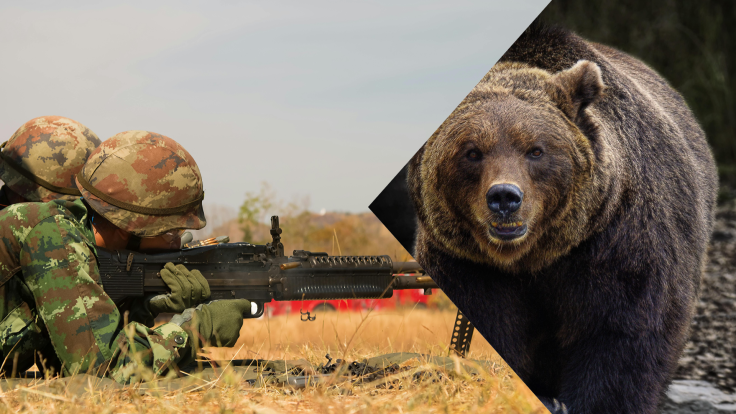 Japan Army deployed for bear attaclks