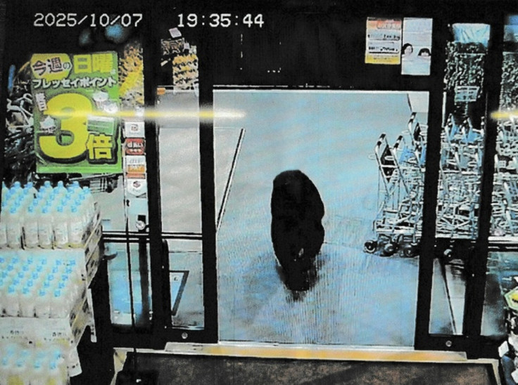 Adult bear enters a supermarket in Japan