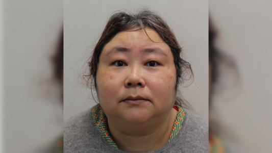 Zhimin Qian cryptoqueen Yadi Zhang