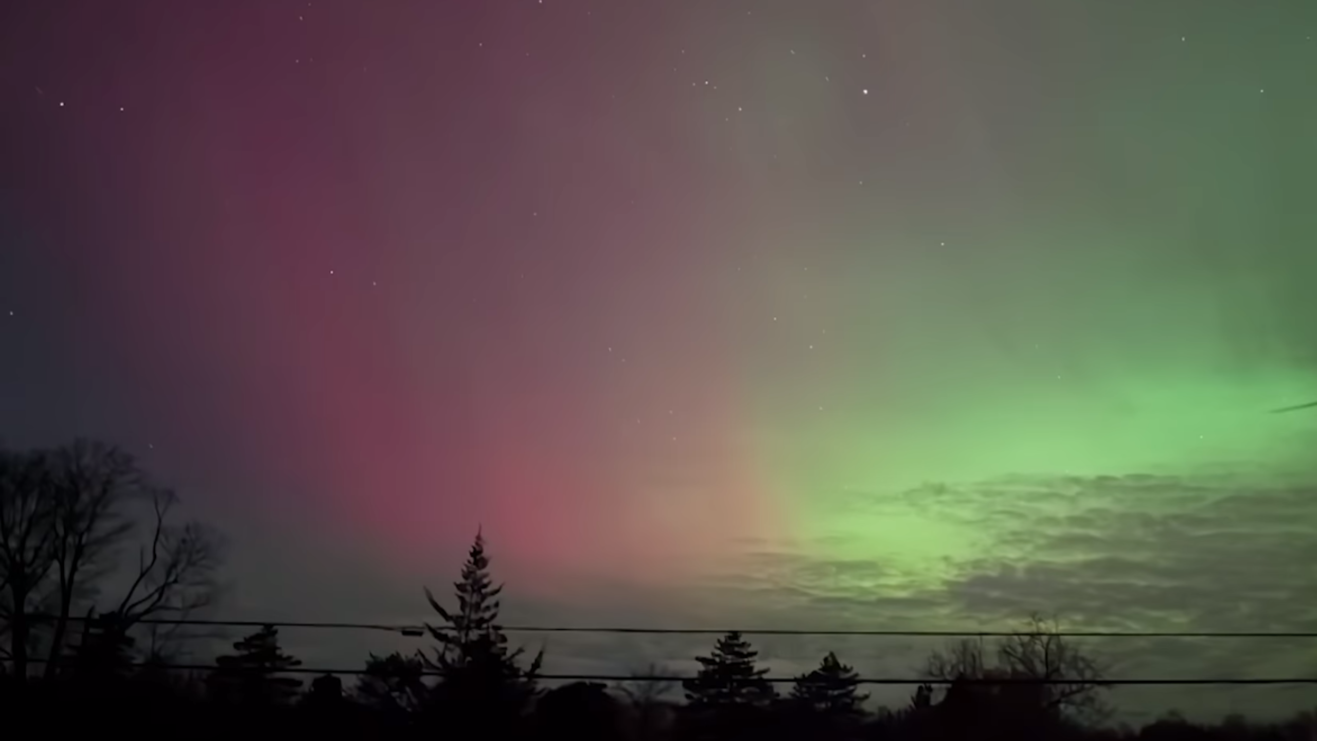 Sky-Spectacle: 'Green Curtains' of the Northern Lights Stretch Across Texas and Florida