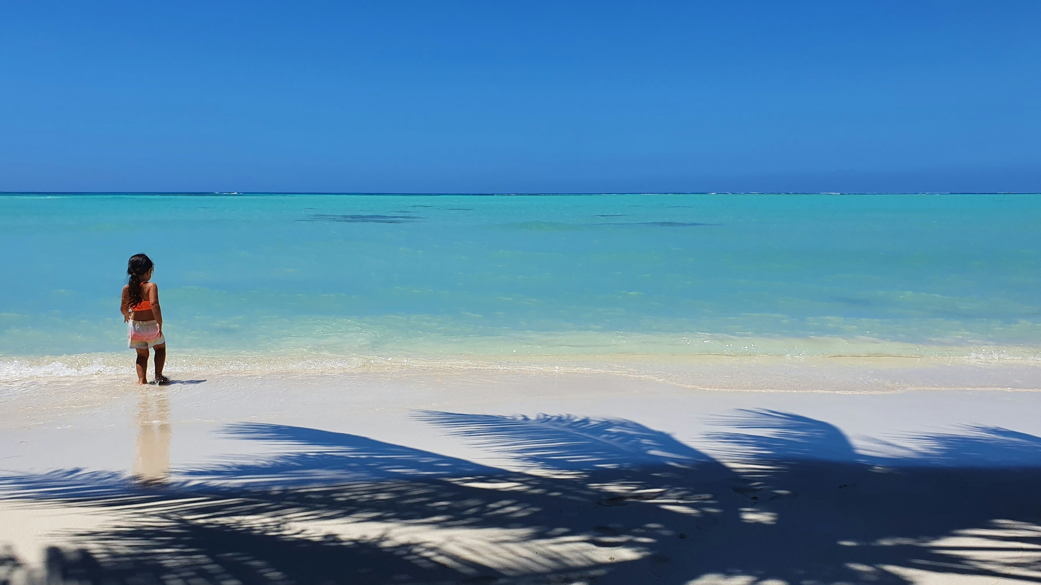 Moana Live-Action Reveal: What the Confirmed Cast Tells Us About the Story Ahead