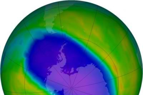 NASA OMI Image of the Ozone Hole