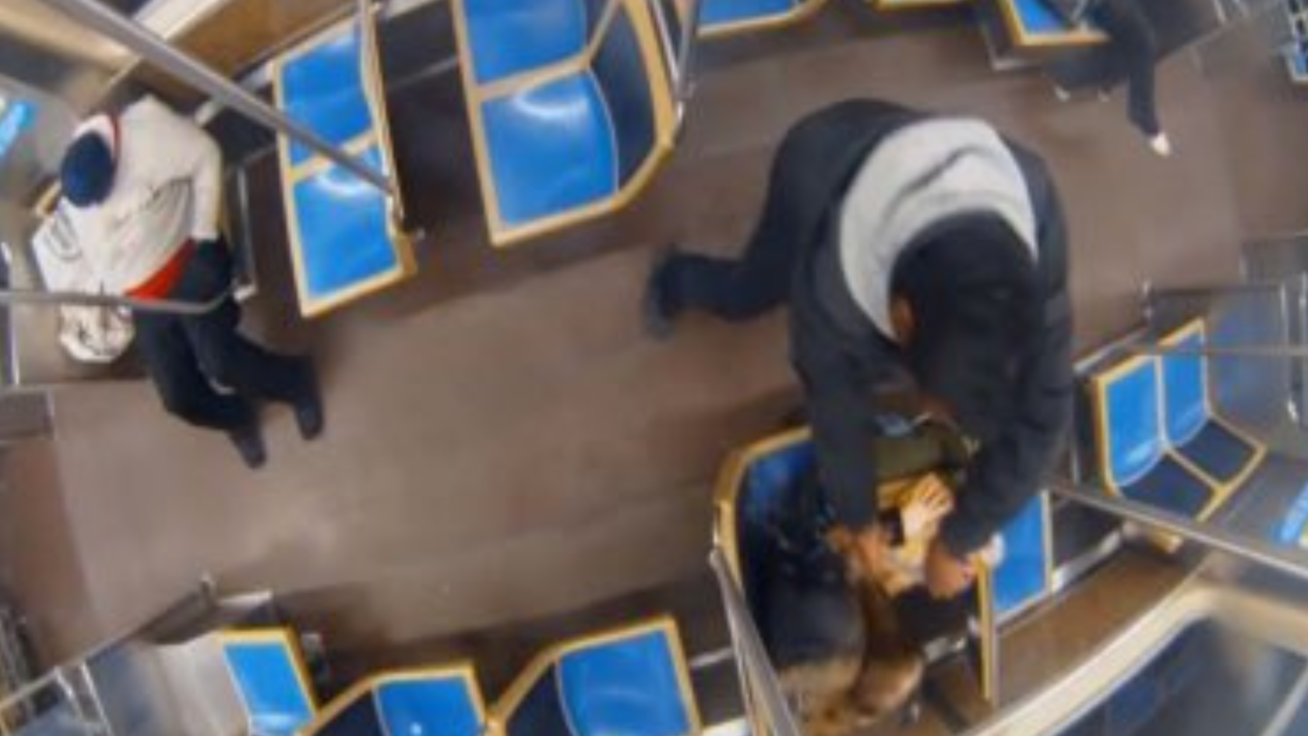 Chicago Horror as 26-Year-Old Bethany MaGee Is Set on Fire on Chicago Train by Career Criminal With 70 Arrests