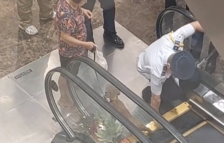 Dog stuck on mall escalator