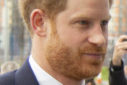 Prince Harry