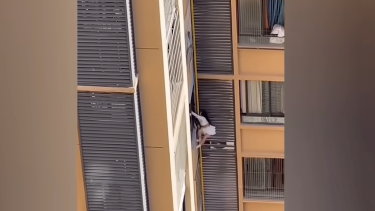 Tragic Near-Fall: Mistress Clings To 10th Floor Window