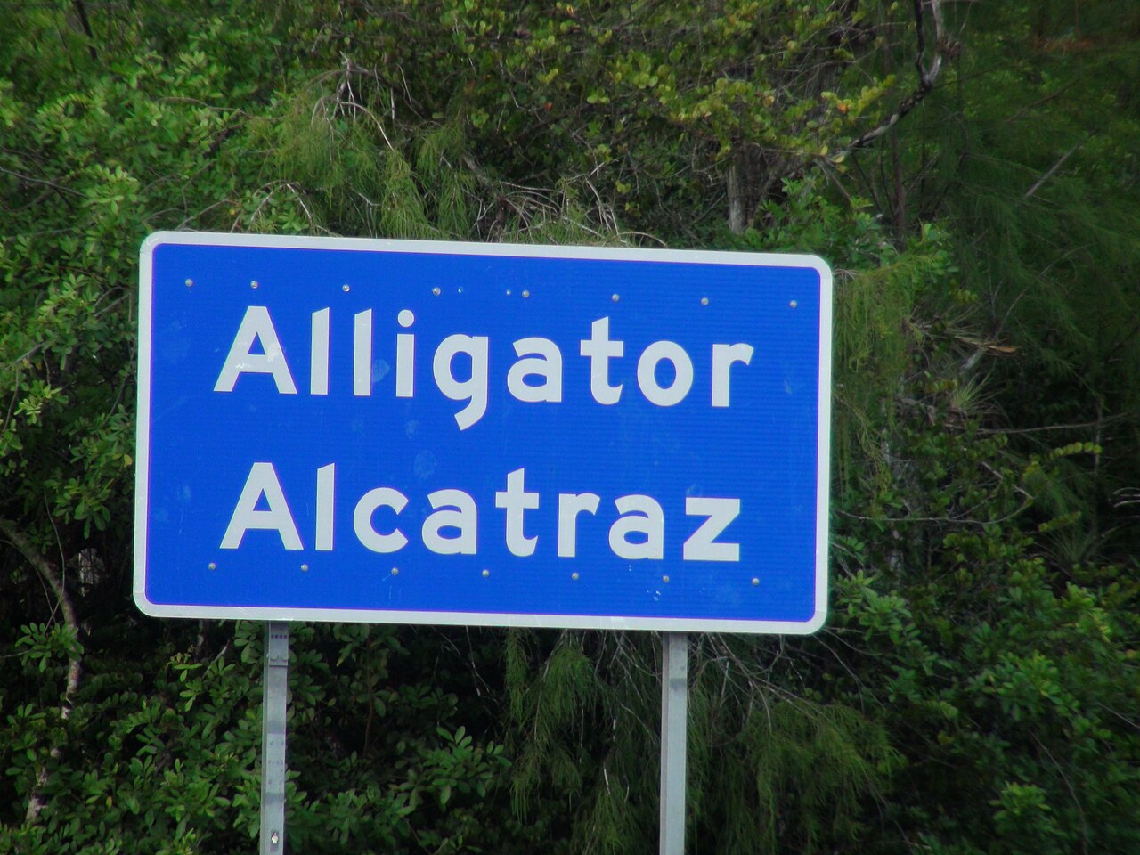 Florida's 'Alligator Alcatraz' Revealed Torture, Enforced Disappearances of Immigrants
