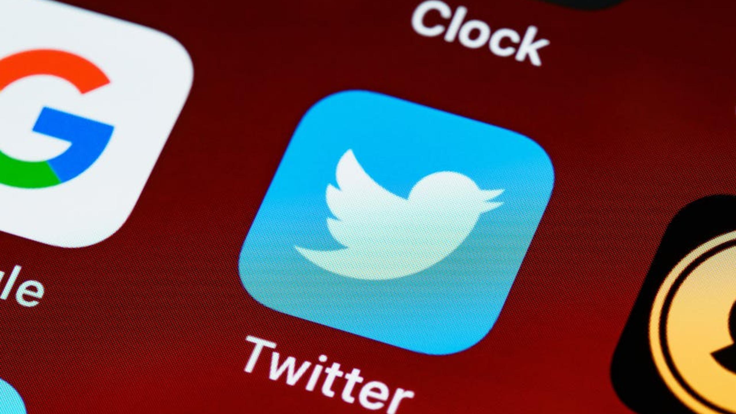 Startup Moves to Seize 'Twitter' Name, Claiming Elon Musk Has Abandoned It