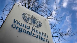 World Health Organization