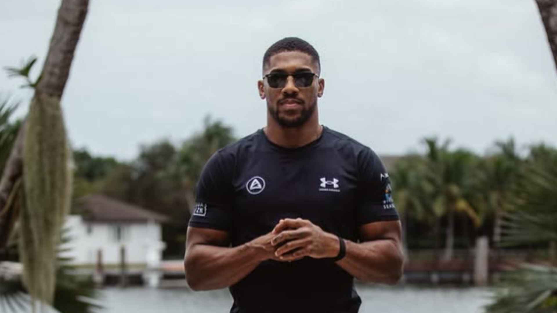 Anthony Joshua