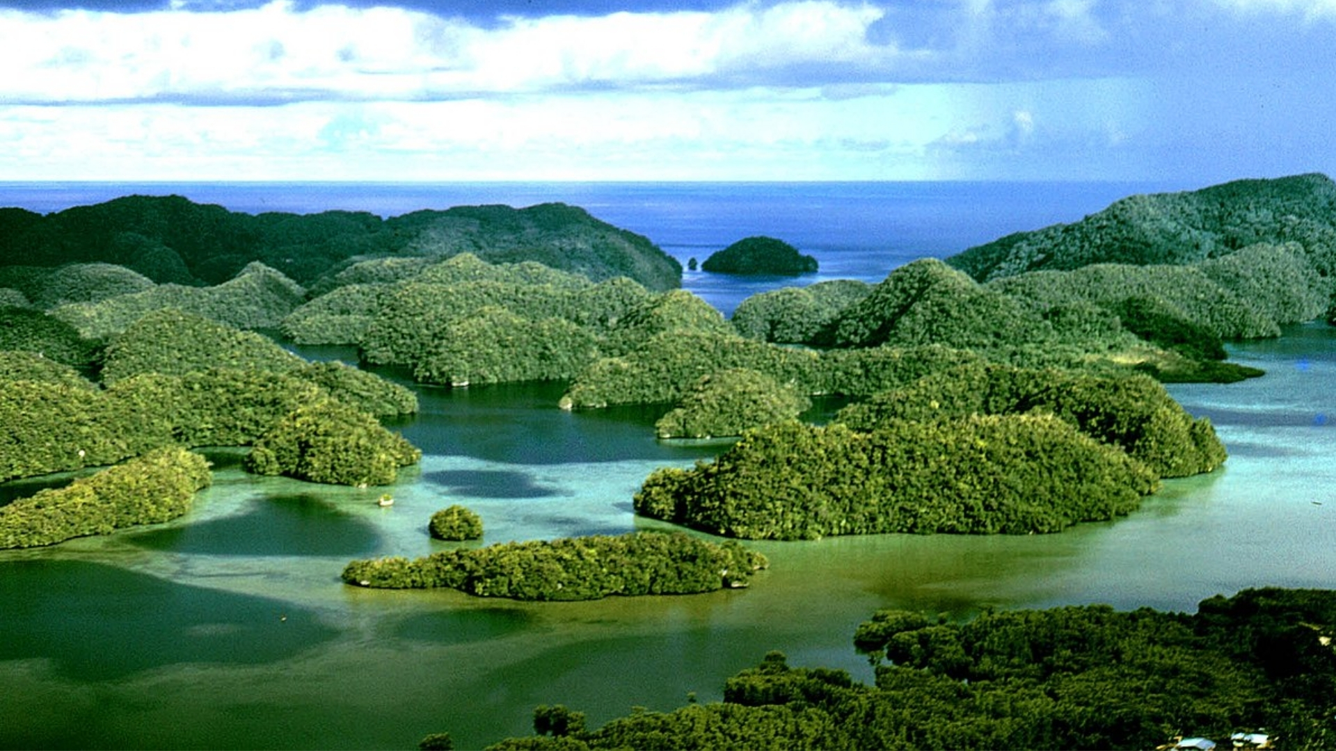 Tiny Island 'Palau' Agrees to Take 75 Immigrants from the US for $7.5m in Unusual Labour Arrangement