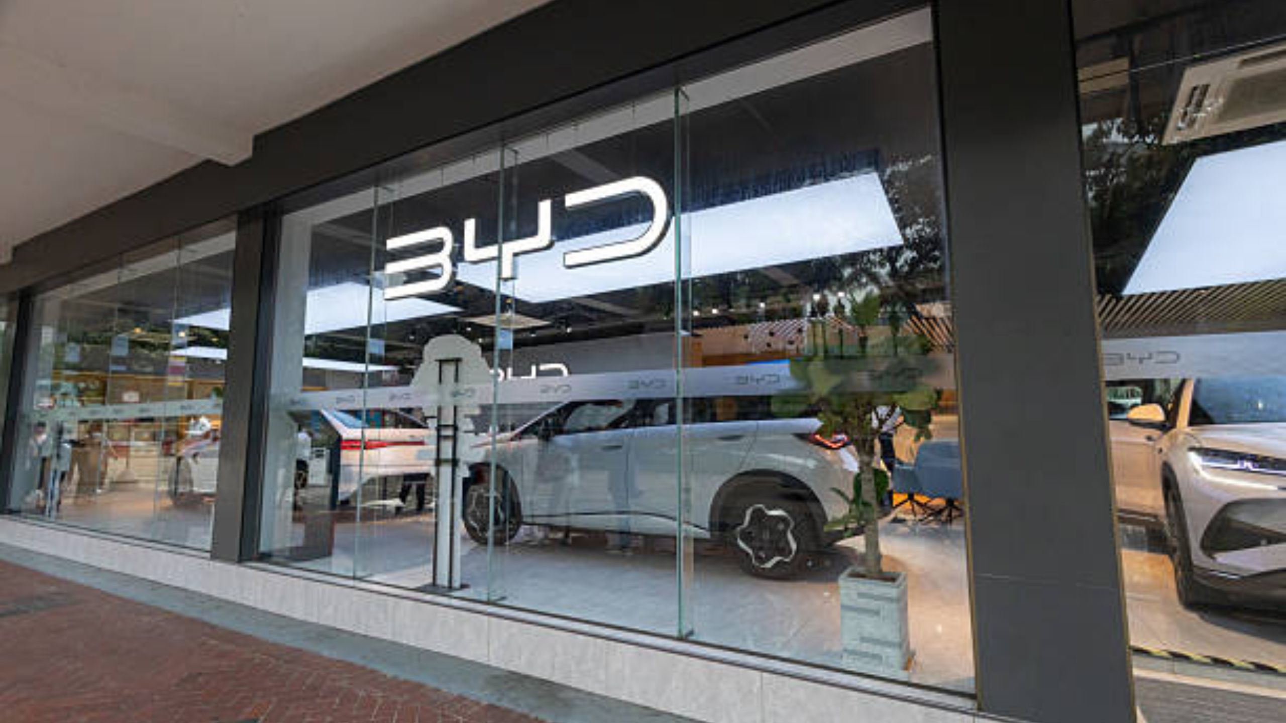 Chinese EV Maker BYD Overtakes Elon Musk's Tesla as World's Leading EV Seller Despite Market Share Decline