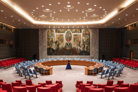 United Nations Security Council