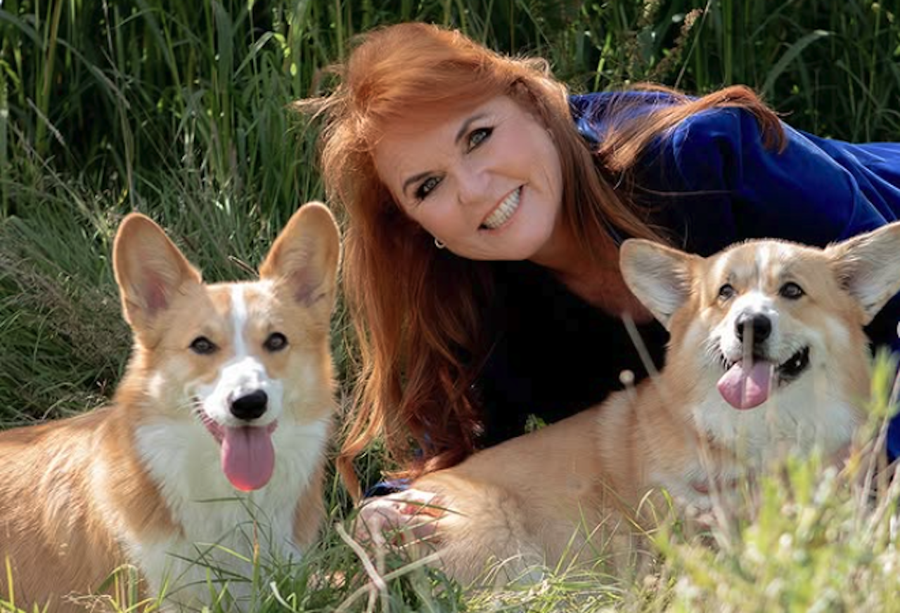 Sarah Ferguson ‘Corgi Cloning’ Rumours Explained: The ‘Crass’ Reality Show Pitch That Appalled Royals