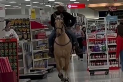 horse inside a target