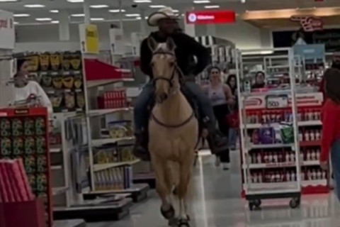 horse inside a target