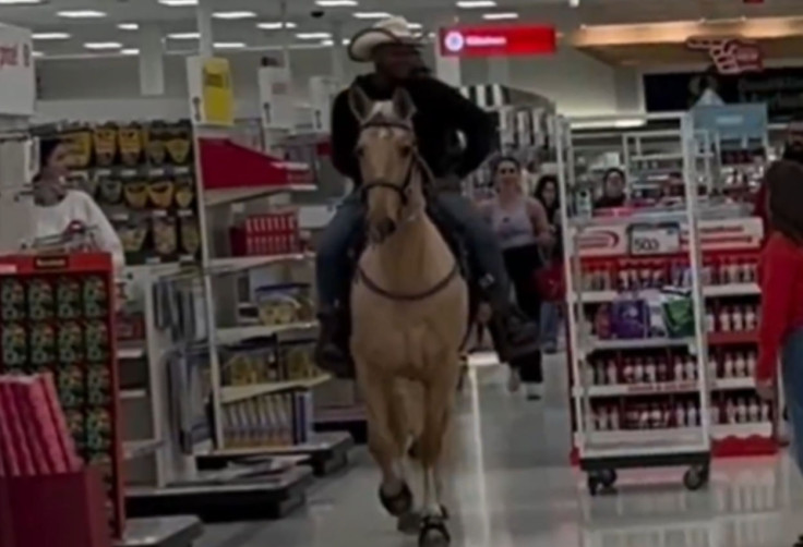 horse inside a target