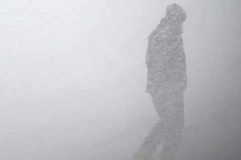 Confused Netizens Think Hawaii Snow Storm is a Sign of